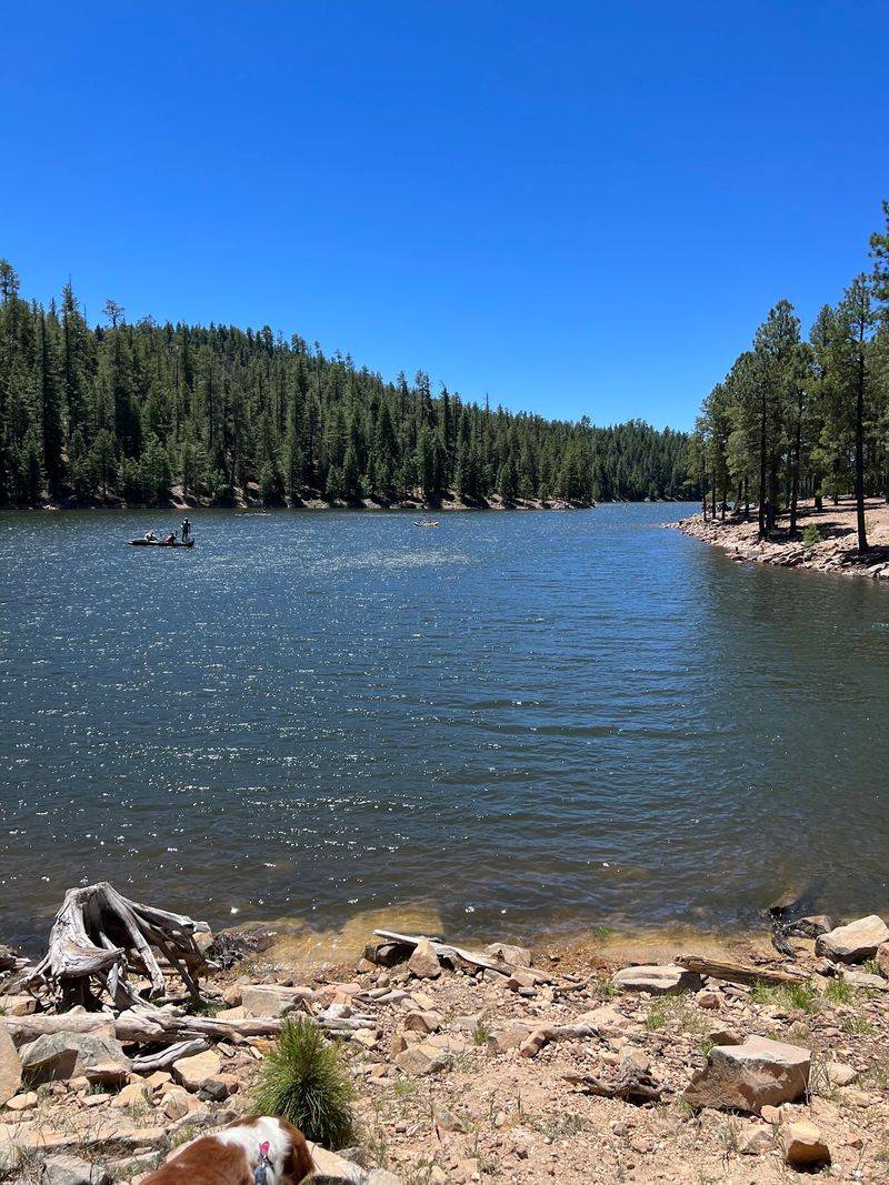 Pines, Cool Air, And A Lake With An Island