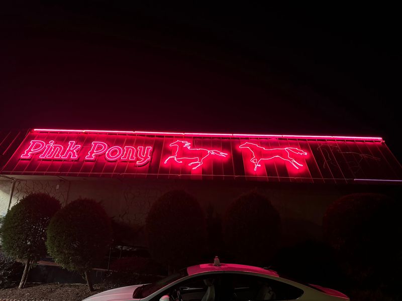Pink Pony