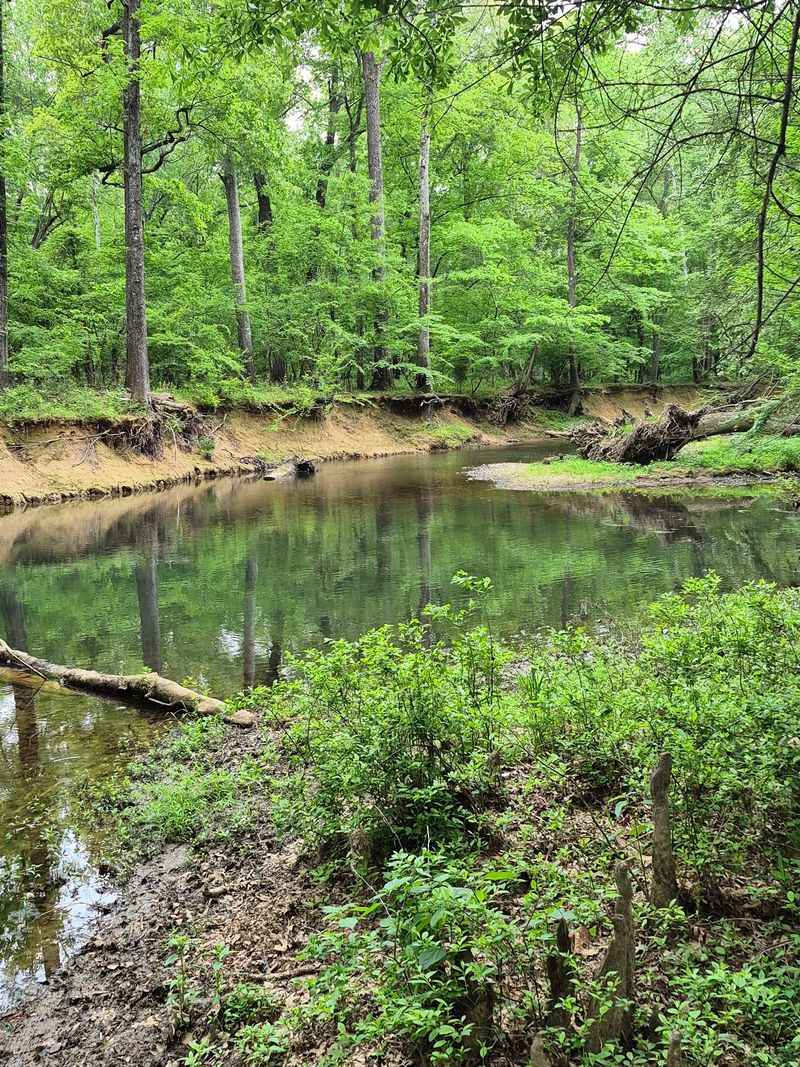 Pinnacle Mountain State Park, Little Rock