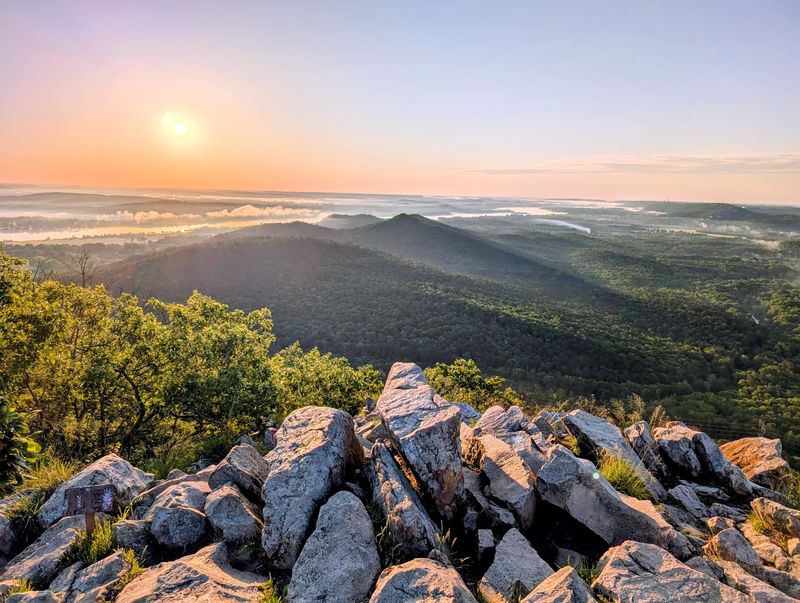 Pinnacle Mountain State Park, Roland