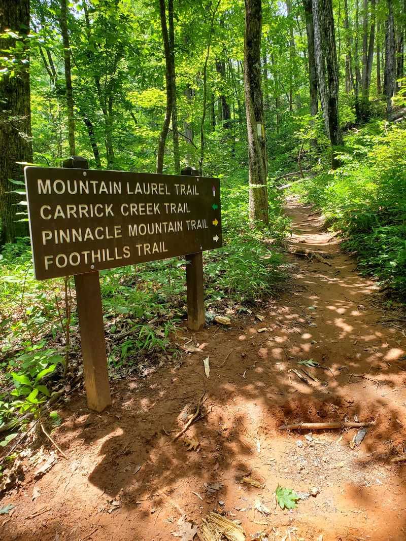 Pinnacle Mountain Trail, Table Rock State Park