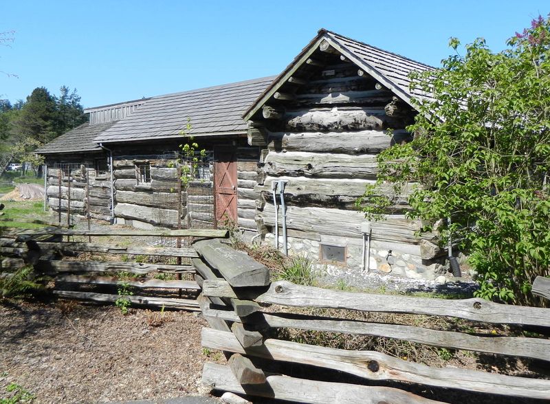 Pioneer Cabins Hold The Island's Old Stories