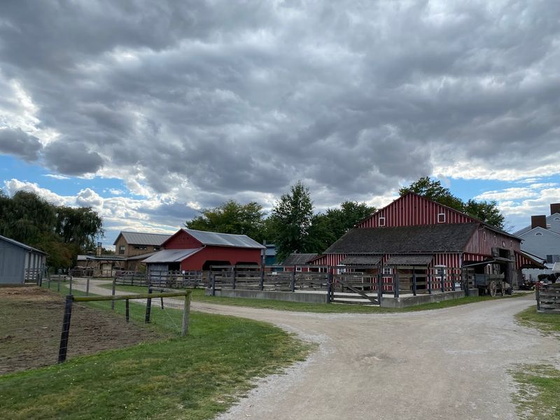 Farm Animals And The Agricultural Heart Of The Village