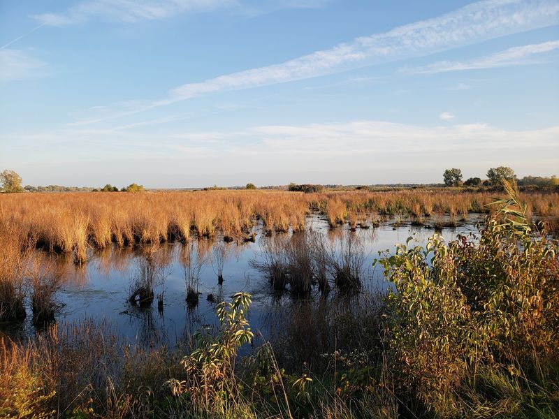 Pipe Creek Wildlife Area, Sandusky