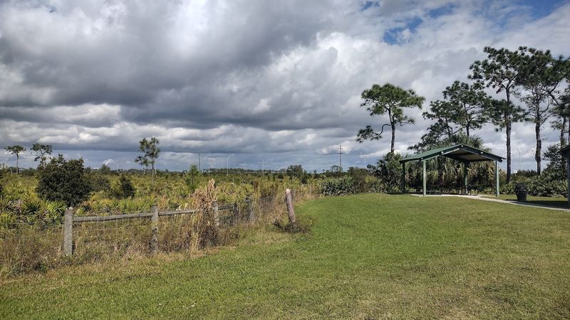 Pitch A Tent Or Grab A Picnic Table Under The Shelter