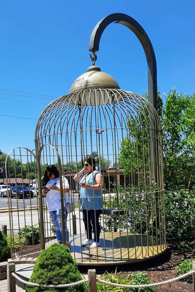 Birdcage Big Enough For Storylines