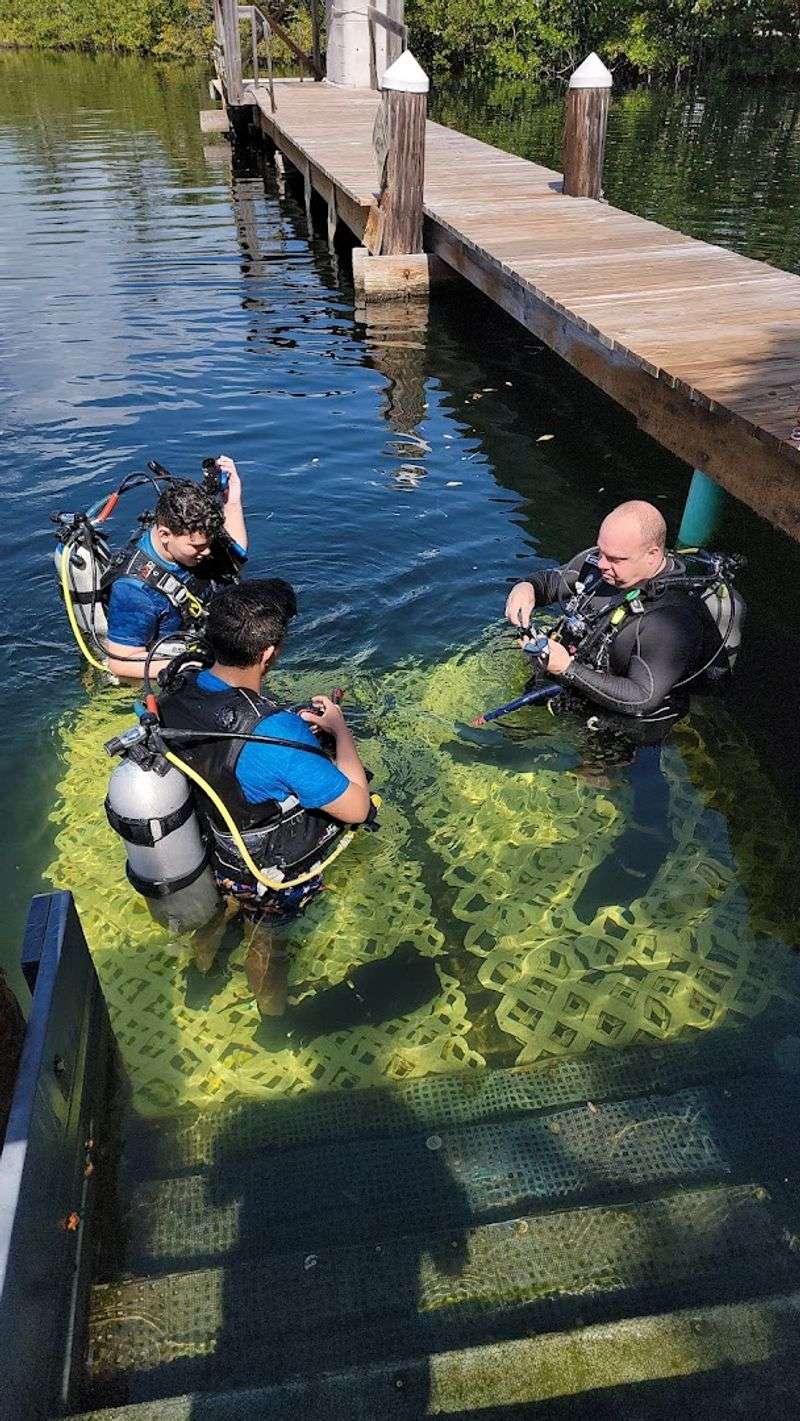 Unlimited Diving Is Included During Your Entire Stay