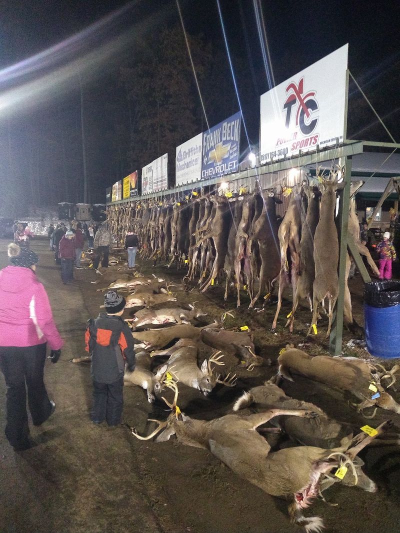 Plan Ahead For Venison Season Plan Ahead For Venison Season