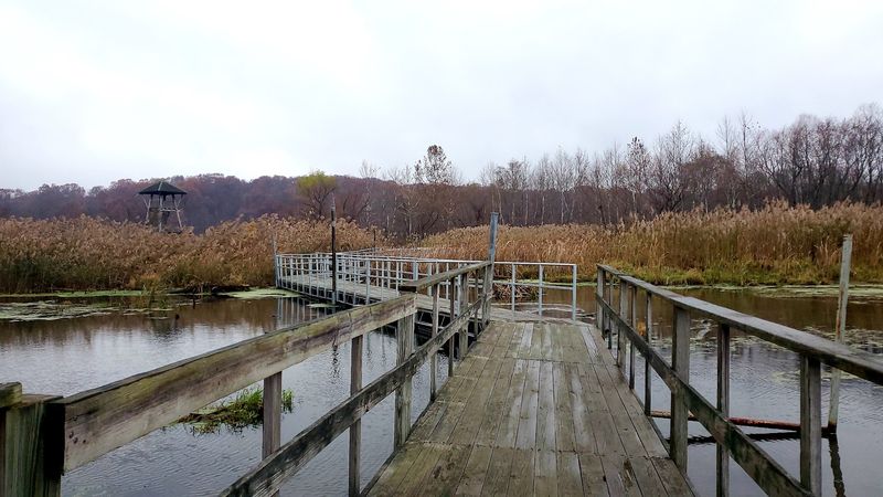 Plan Around Access, Hours, and Changing Conditions