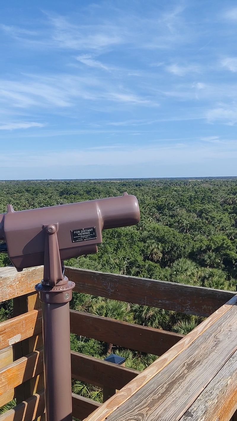 Let Birds Set The Itinerary