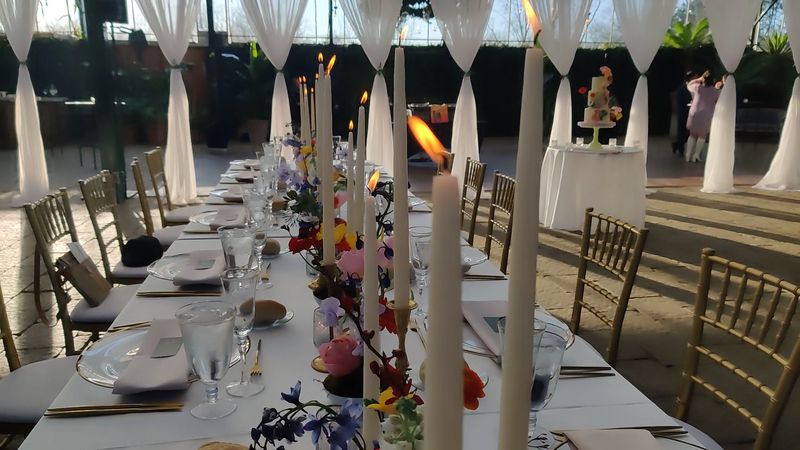 Trust The Plants To Do Real Work