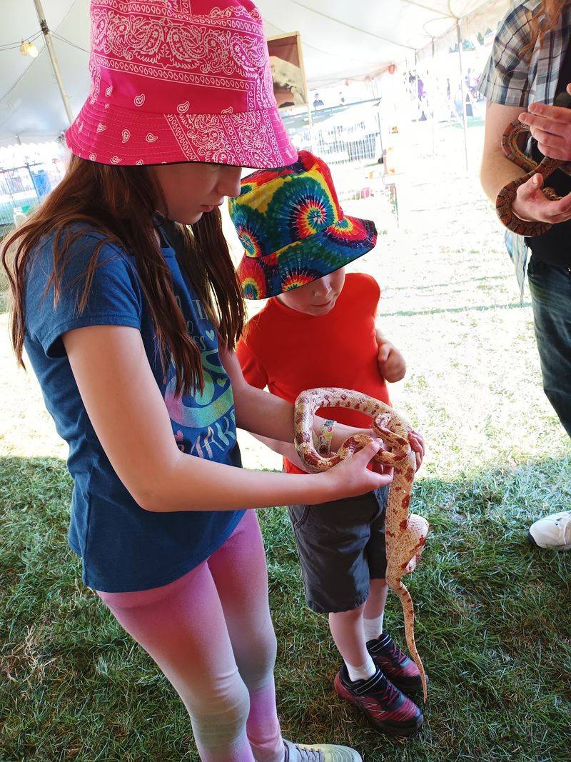 Plan Family Quests Without Overpacking