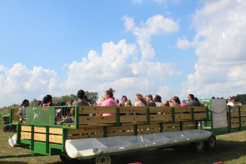 Eat After You Wander, Not Before