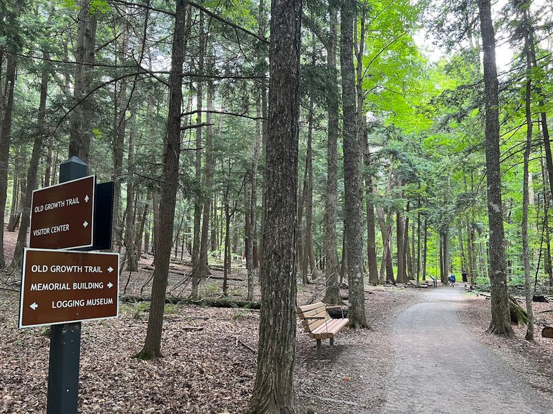 Plan For More Than One Trail
