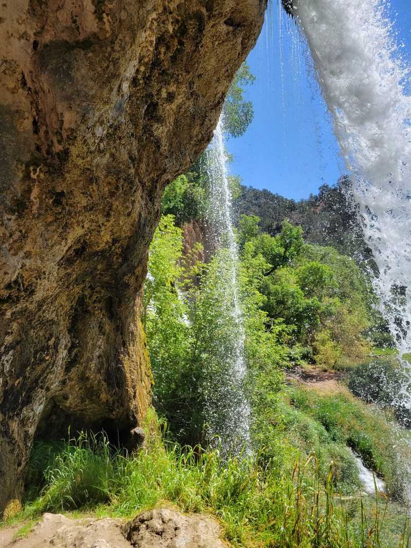 The Easy Win Promise