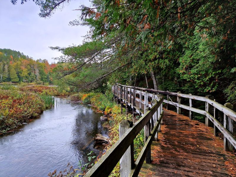 Plan The Drive Between Falls