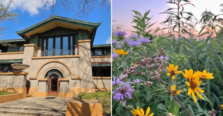 Plan The Perfect 2-Day Illinois Road Trip With These 12 Stops