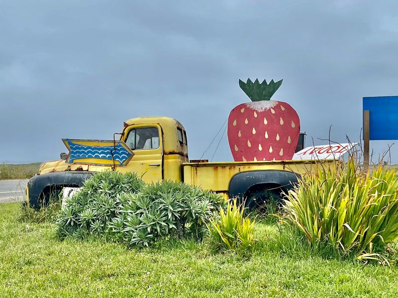 Plan Your Highway 1 Stop With These Easy Details Plan Your Highway 1 Stop With These Easy Details
