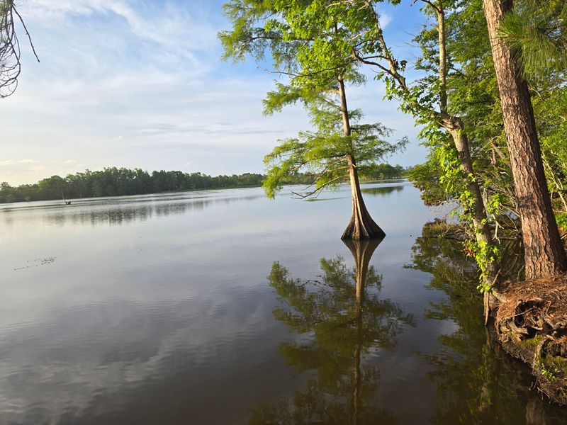 Plan Your Trip Where Two Rivers Shake Hands