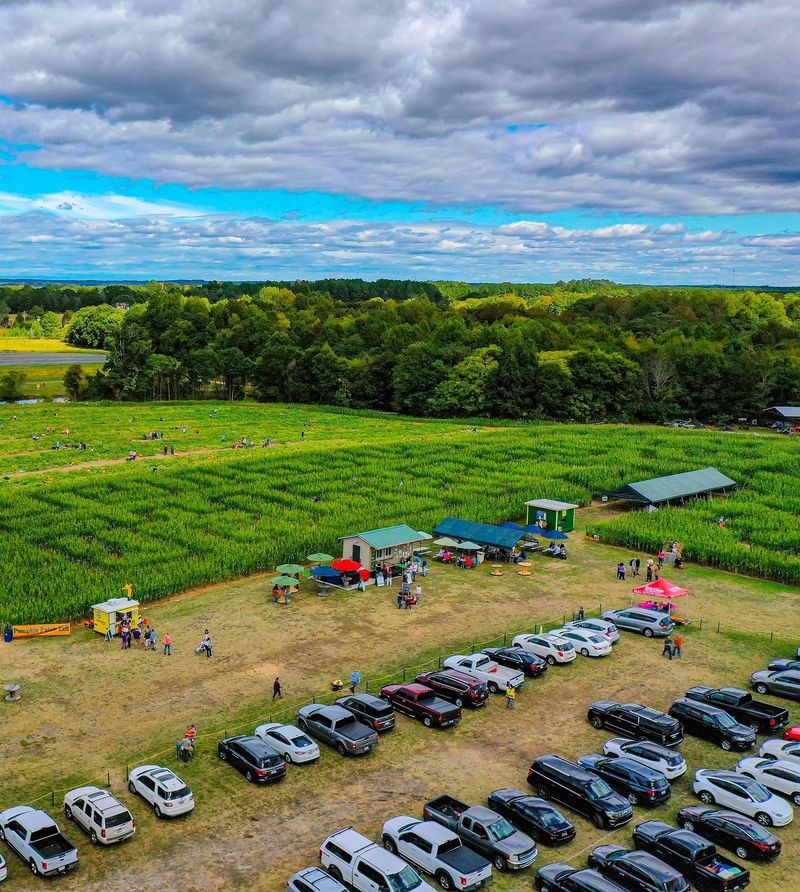 Plan Your Weekend Around A 200-Year Family Farm