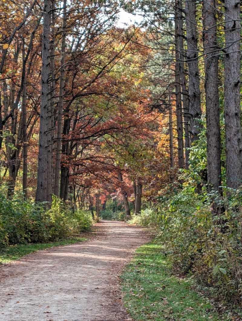 Plan a preserve visit without relying on a secret shortcut