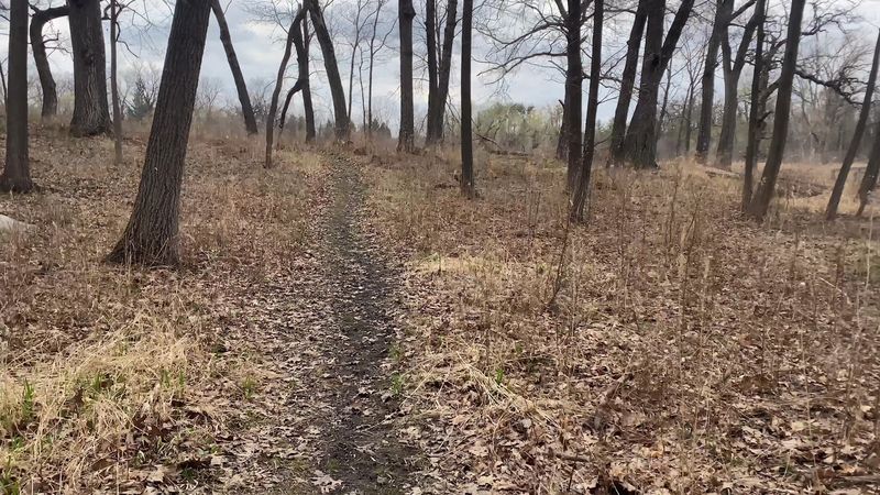 Plan for a one-mile wetland walk