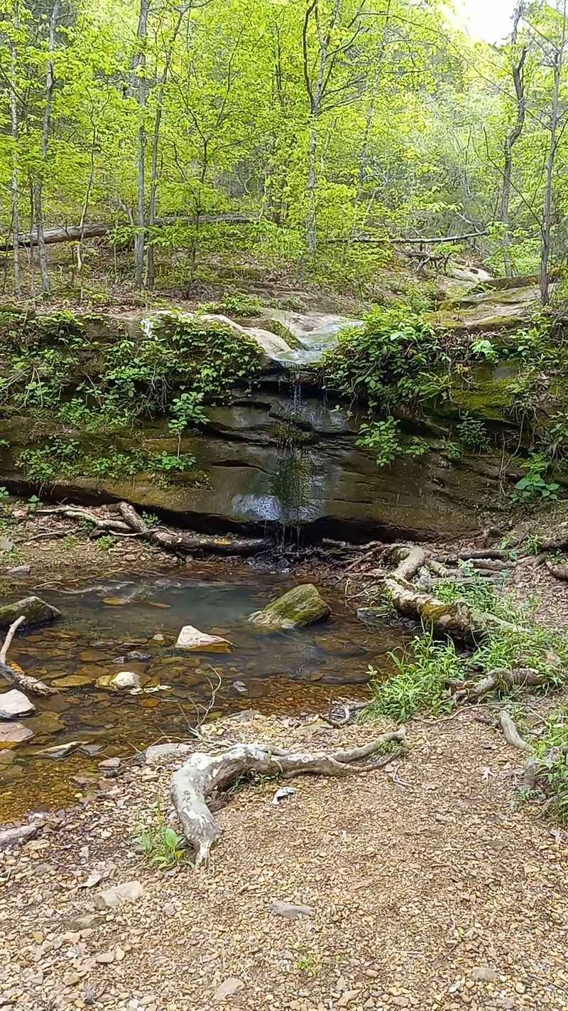 Plan the Visit as a Two-Stop Park Outing