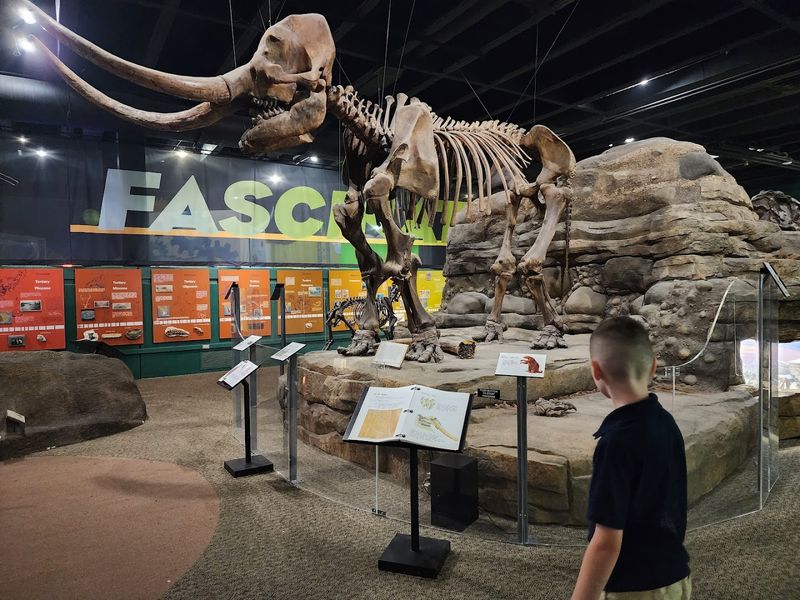 Discover World and the Hands-On Science Zone