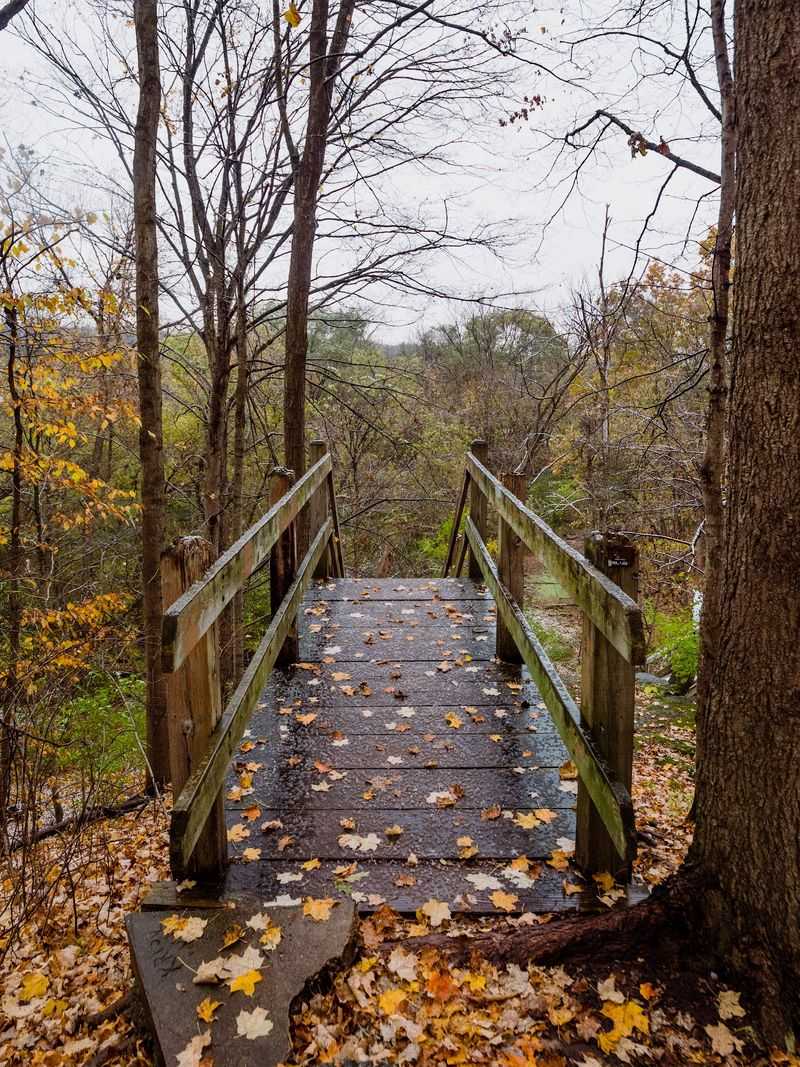 Planning Your Free Fall Day Trip