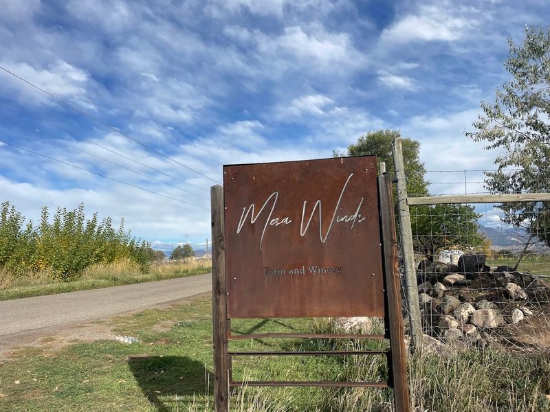 Planning Your Mesa Winds Visit Without The Guesswork Planning Your Mesa Winds Visit Without The Guesswork