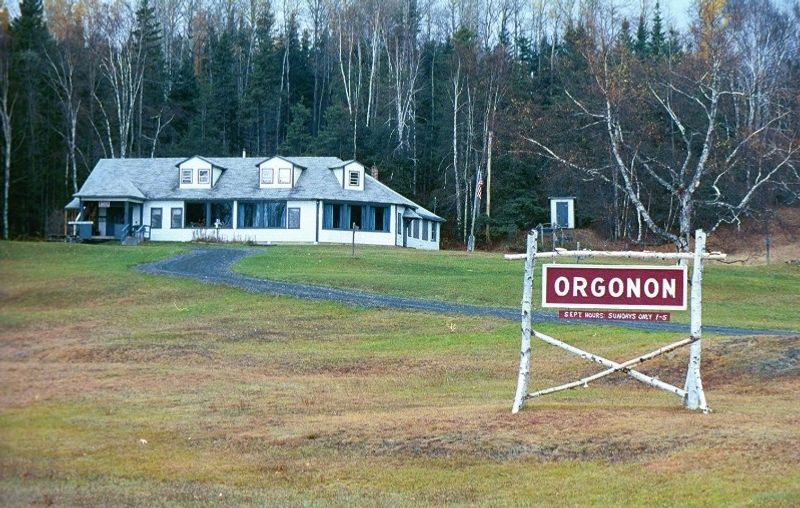 Planning Your Orgonon Visit Planning Your Orgonon Visit