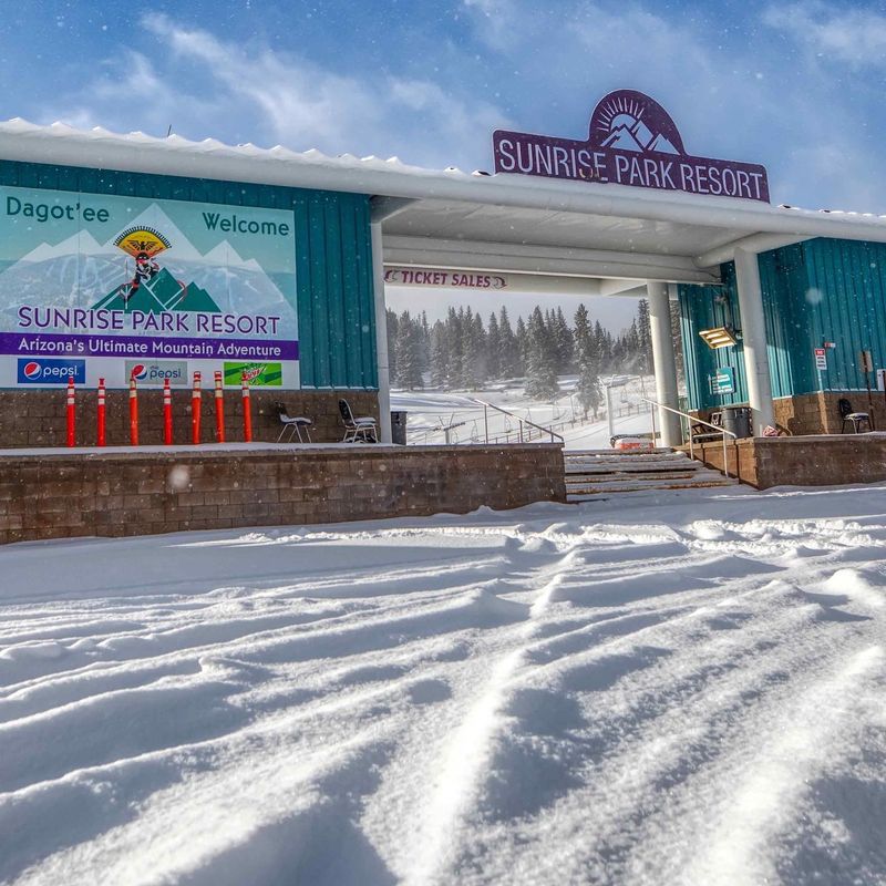 Planning Your Trip To Greer, Arizona