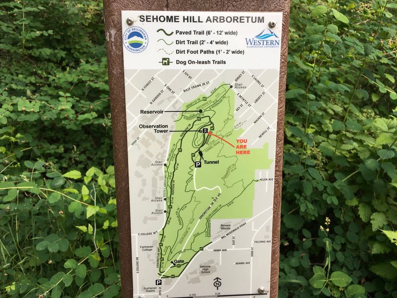 Planning Your Visit And Getting There