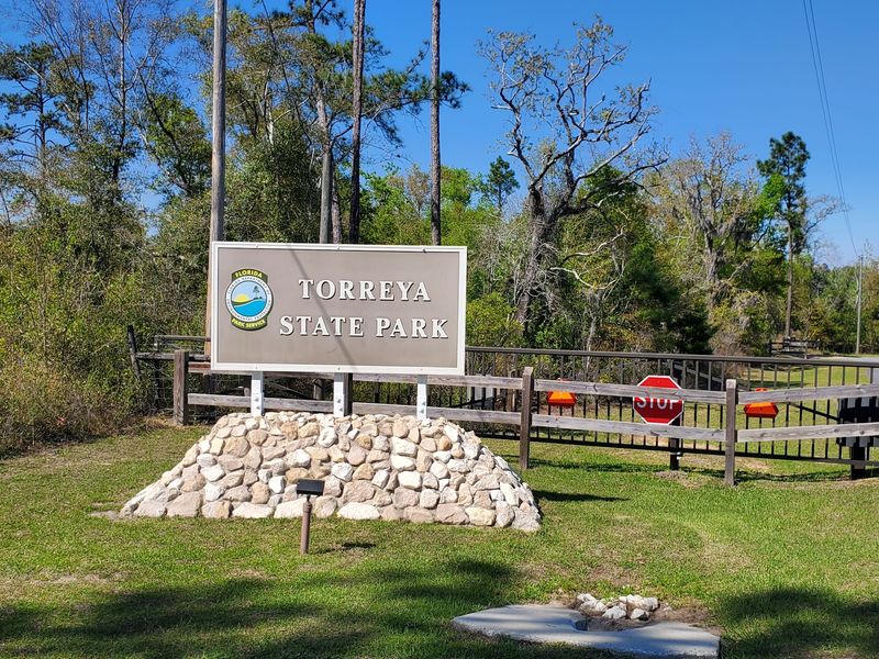 Planning Your Visit And What To Know