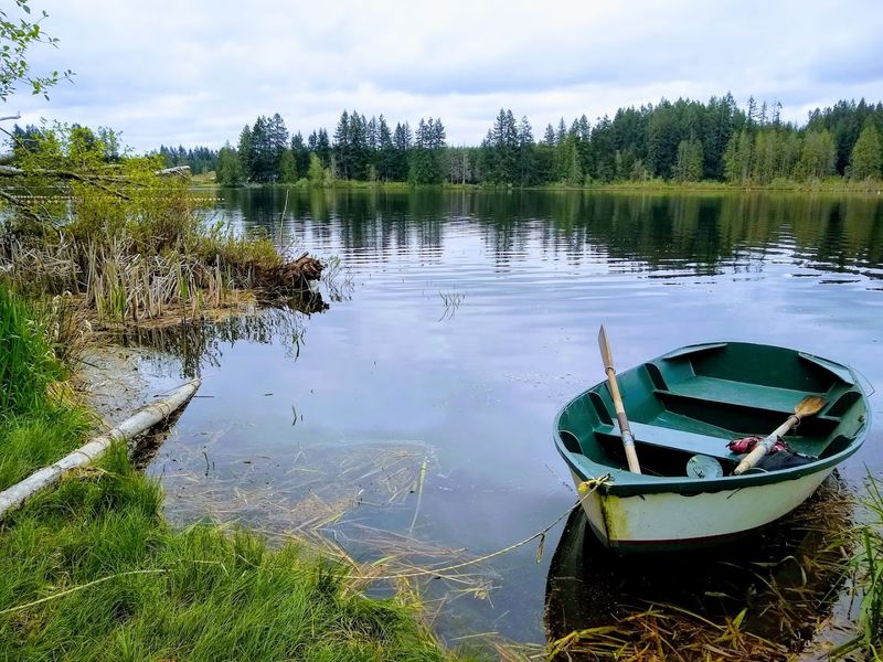 Planning Your Visit And What To Know Before You Go
