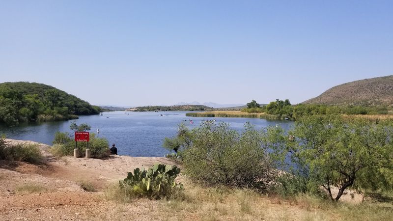 Wildlife BeyondTthe Birds Worth Watching For