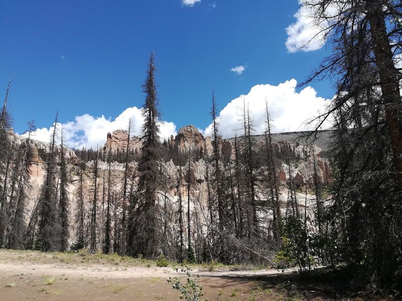 Planning Your Visit Around Reality, Not Optimism