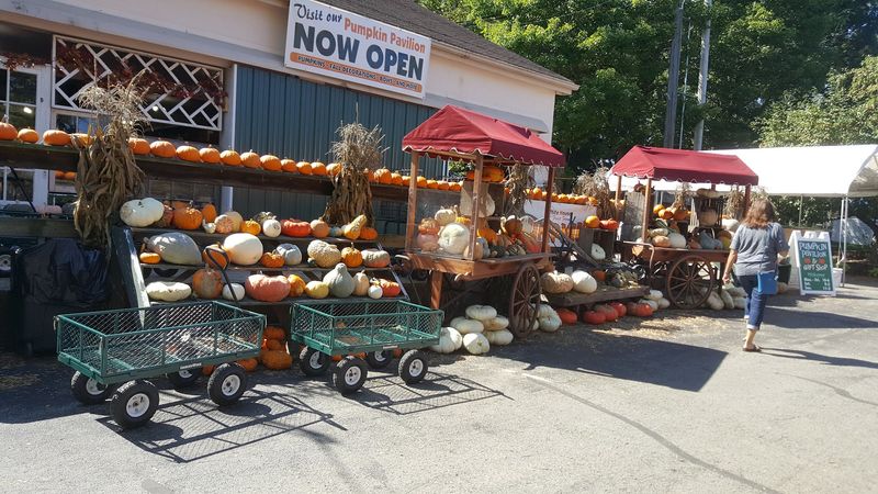 Planning Your Visit Before The Season Turns