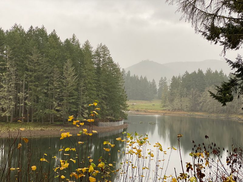 Planning Your Visit: Hours, Getting There, And Tips