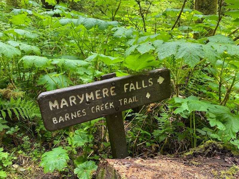 Planning Your Visit: Passes, Parking, And Nearby Stops
