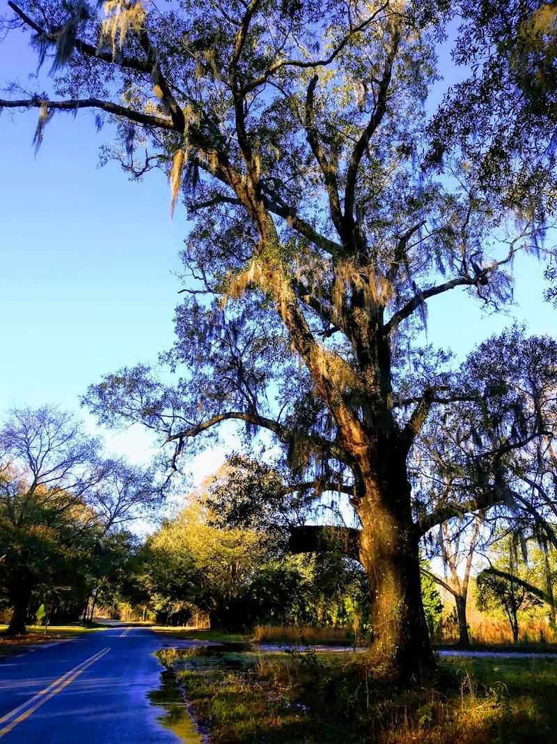 Planning Your Visit: Practical Tips for First-Time Explorers