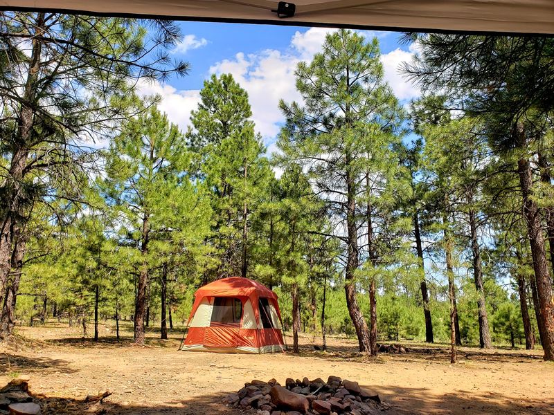 Planning Your Visit: Timing, Gear And Getting There