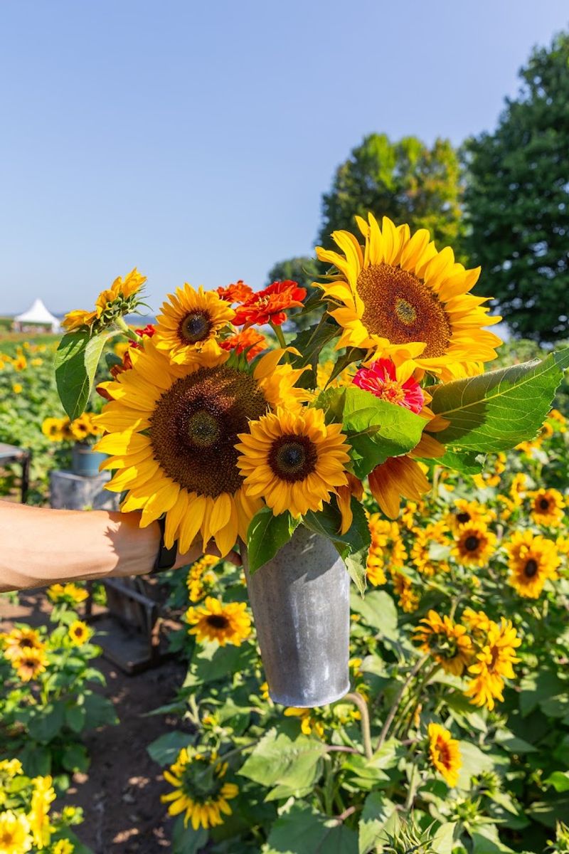 Planning Your Visit: Tips For The Best Experience