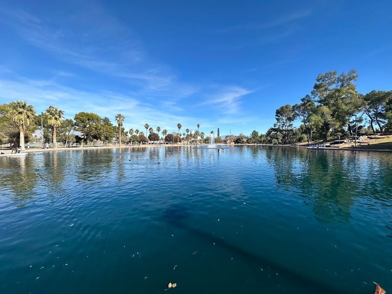 The African Savanna Loop: Sun, Dust, And Zebras On The Move