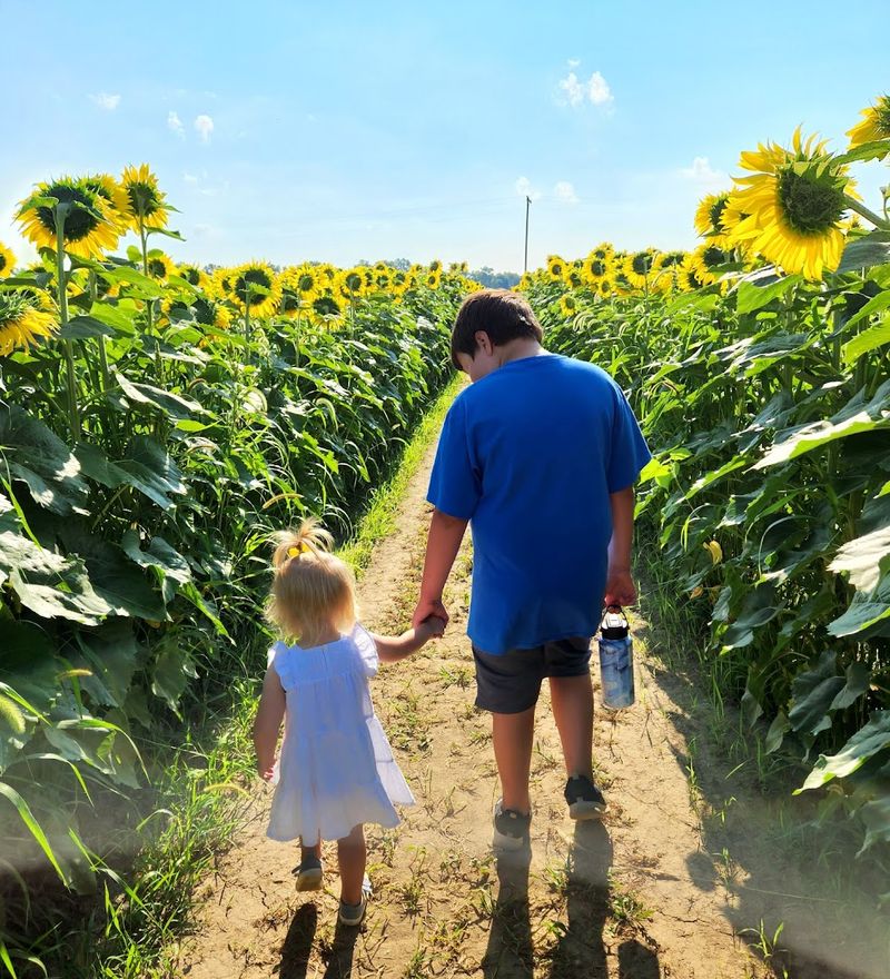 Planning Your Visit: Tips for the Best Experience