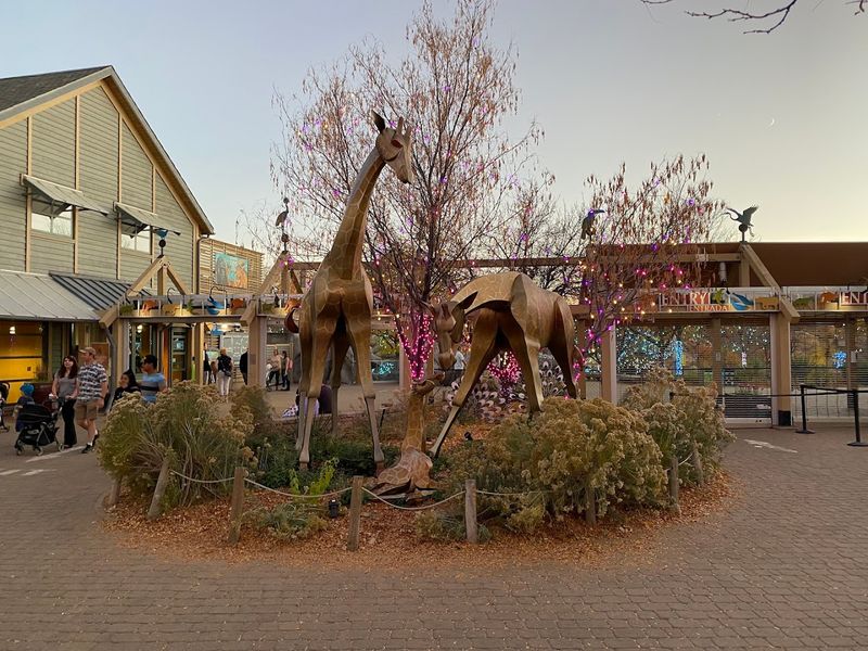 Planning Your Visit To Denver Zoo Conservation Alliance
