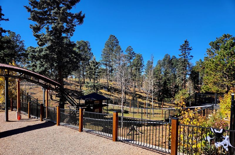 Planning Your Visit To Divide, Colorado Like A Local