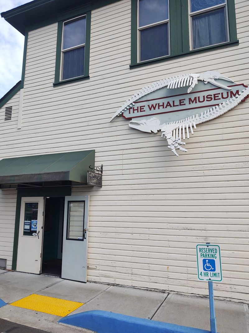 Planning Your Visit To Friday Harbor