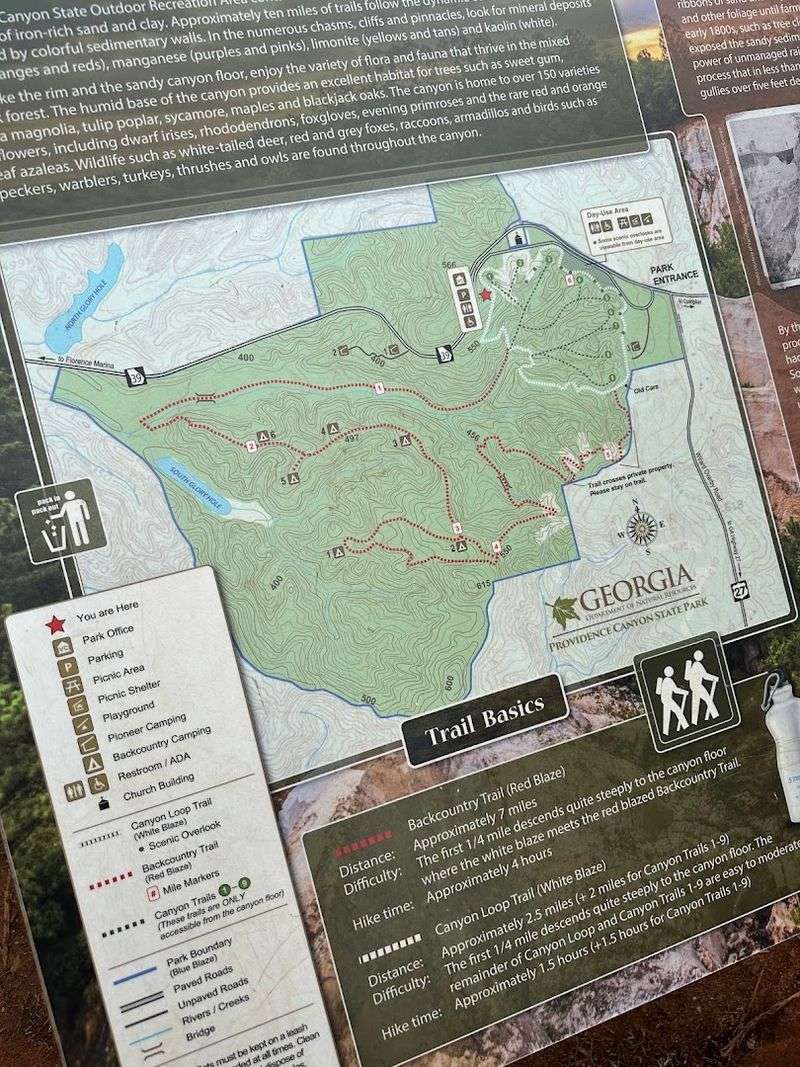 Planning Your Visit To Georgia's Most Unexpected Natural Wonder Planning Your Visit To Georgia's Most Unexpected Natural Wonder