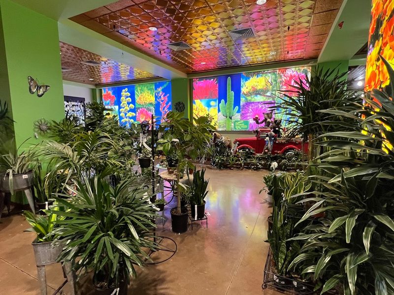 Planning Your Visit To Mesquite Valley
